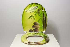 Eisl Duroplastové sedátko se zpomalovacím mechanismem SOFT-CLOSE Green Garden 82365Green Garden