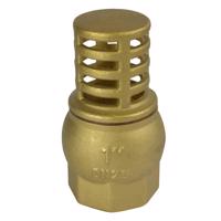 MEREO Klum Koš sací, mosazný 2" PR2211