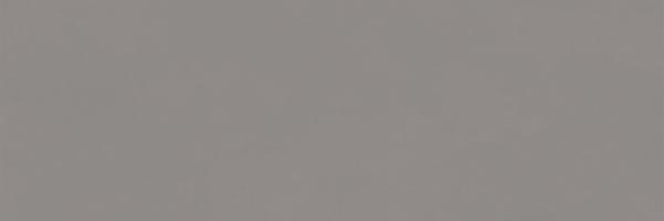 Tau Obklad Priego gray 33,3x100 cm