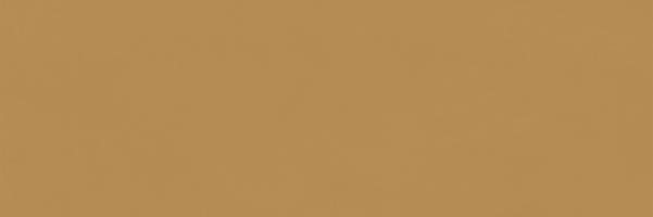 Tau Obklad Priego honey 33,3x100 cm